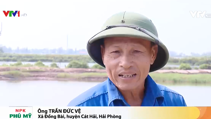 Những 'nông dân không đất' ở Cát Hải phản ánh với Đài truyền hình Việt Nam (VTV)