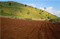Quyền của người sử dụng đất trong trường hợp đất có quy hoạch, kế hoạch