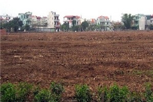 Luật sư tư vấn về tặng cho quyền sử dụng đất