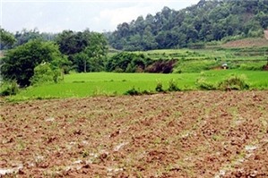 Bồi thường, hỗ trợ khi thu hồi đất ở Lạng Sơn