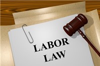 Điều kiện cấp giấy phép hoạt động cho thuê lại lao động